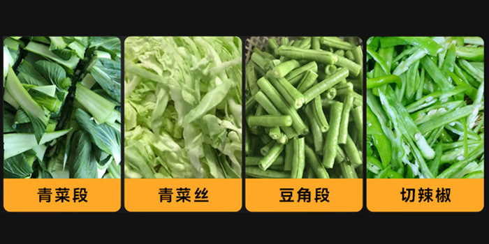 商用多功能切菜機(jī)